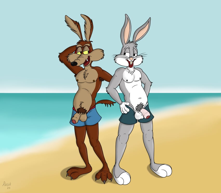 absurd_res anthro armpit_hair balls beach body_hair bottomwear bottomwear_down bugs_bunny canid canine canis clothed clothing coyote duo foreskin genitals hi_res humanoid_genitalia humanoid_penis lagomorph leporid looney_tunes male male/male mammal mostly_nude nipples outside partially_clothed penis penis_poking_out pubes rabbit rasik sand shorts shorts_down standing swimming_trunks swimwear tongue tongue_out warner_brothers wile_e._coyote