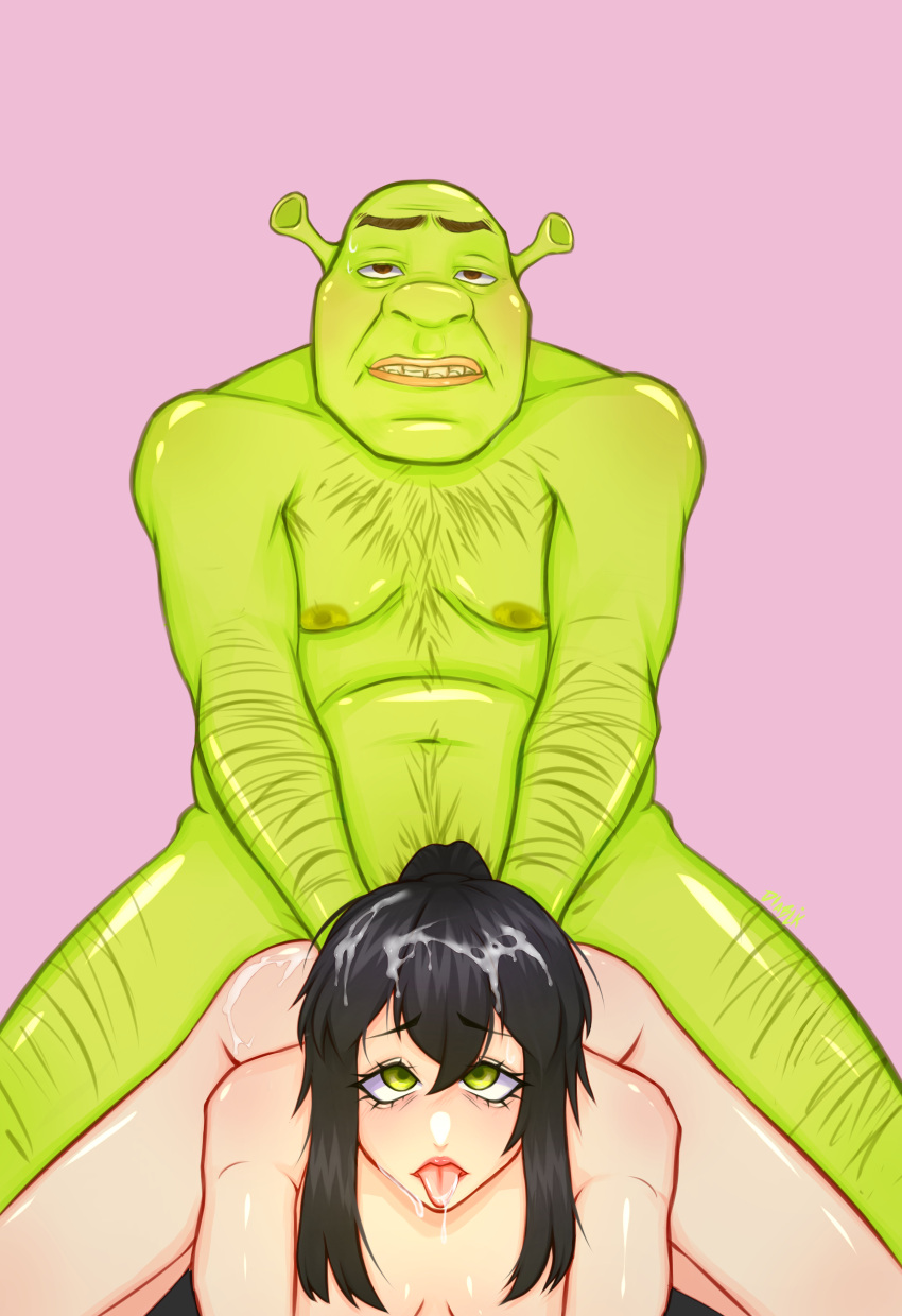 Shrek (Series) Rule 34 Image