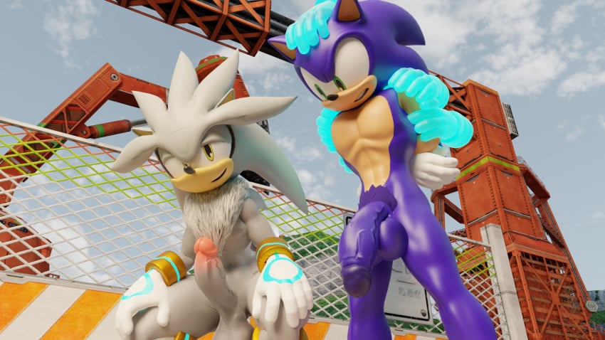 2boys disembodied_hand exposed_torso footwear gay handwear male male/male male_only sega silver_the_hedgehog sonic_(series) sonic_the_hedgehog sonic_the_hedgehog_(series) twintails3d