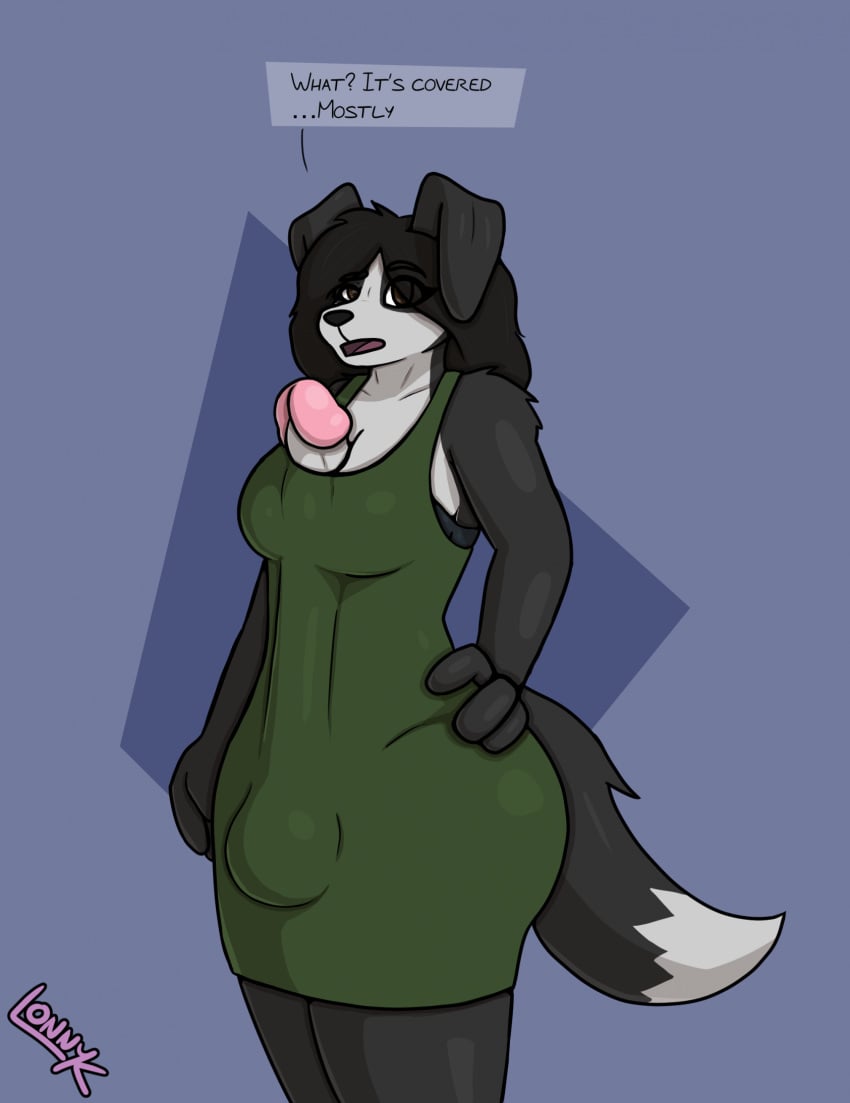 anthro big_penis border_collie breasts bulge canid canine canis clothing collie domestic_dog genitals gynomorph hand_on_hip herding_dog hi_res huge_cock hyper hyper_genitalia hyper_penis intersex jordan_(lonnyk) lonnyk mammal medium_breasts pastoral_dog penis penis_between_breasts penis_through_neckhole sheepdog solo wardrobe_malfunction