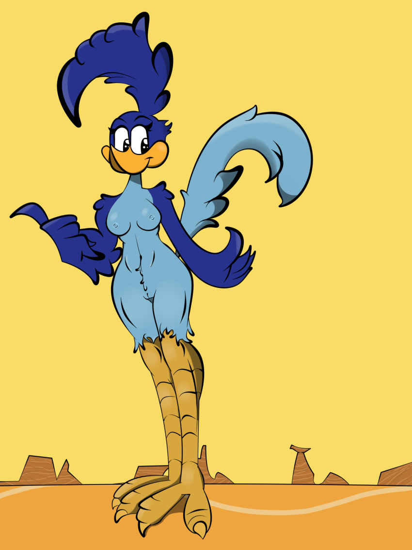 avian beak bird blue_body blue_feathers breasts chest_tuft cuculiform feathers female fogata furry genitals head_feathers hi_res looney_tunes new_world_ground_cuckoo road_runner_(looney_tunes) roadrunner smile solo standing tuft warner_brothers