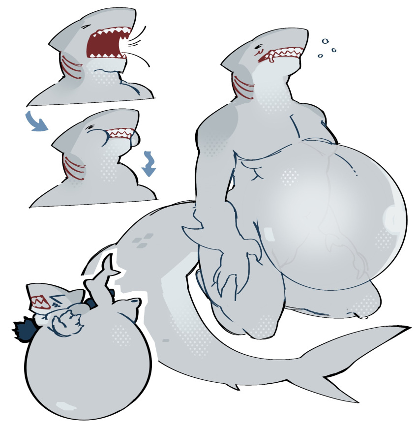 air_inflation balloon_belly belly belly_expansion breathing bubble expansion furry grey_body humanoid inflation mammal_humanoid round_belly shark sharp_teeth tagme wwsnke99