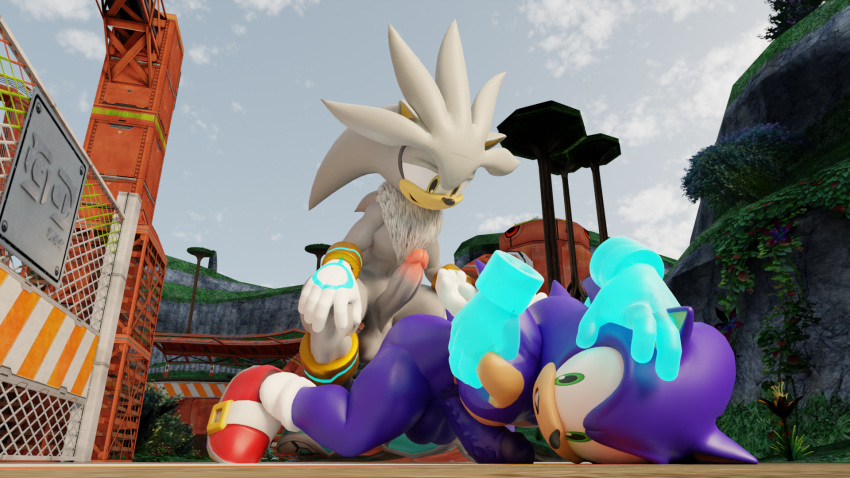 2boys disembodied_hand exposed_torso footwear gay handwear male male/male male_only sega silver_the_hedgehog sonic_(series) sonic_the_hedgehog sonic_the_hedgehog_(series) twintails3d