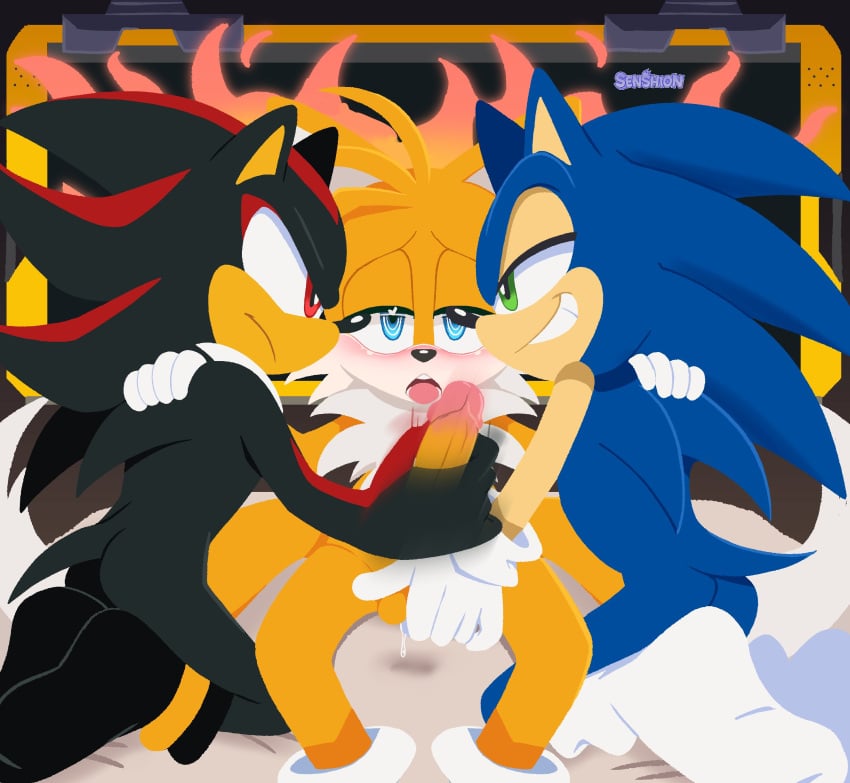 collaborative_handjob exposed_torso footwear furry handwear male penis senshion shadow_the_hedgehog sonic_(series) sonic_the_hedgehog sonic_the_hedgehog_(series) tails tails_the_fox threesome yaoi