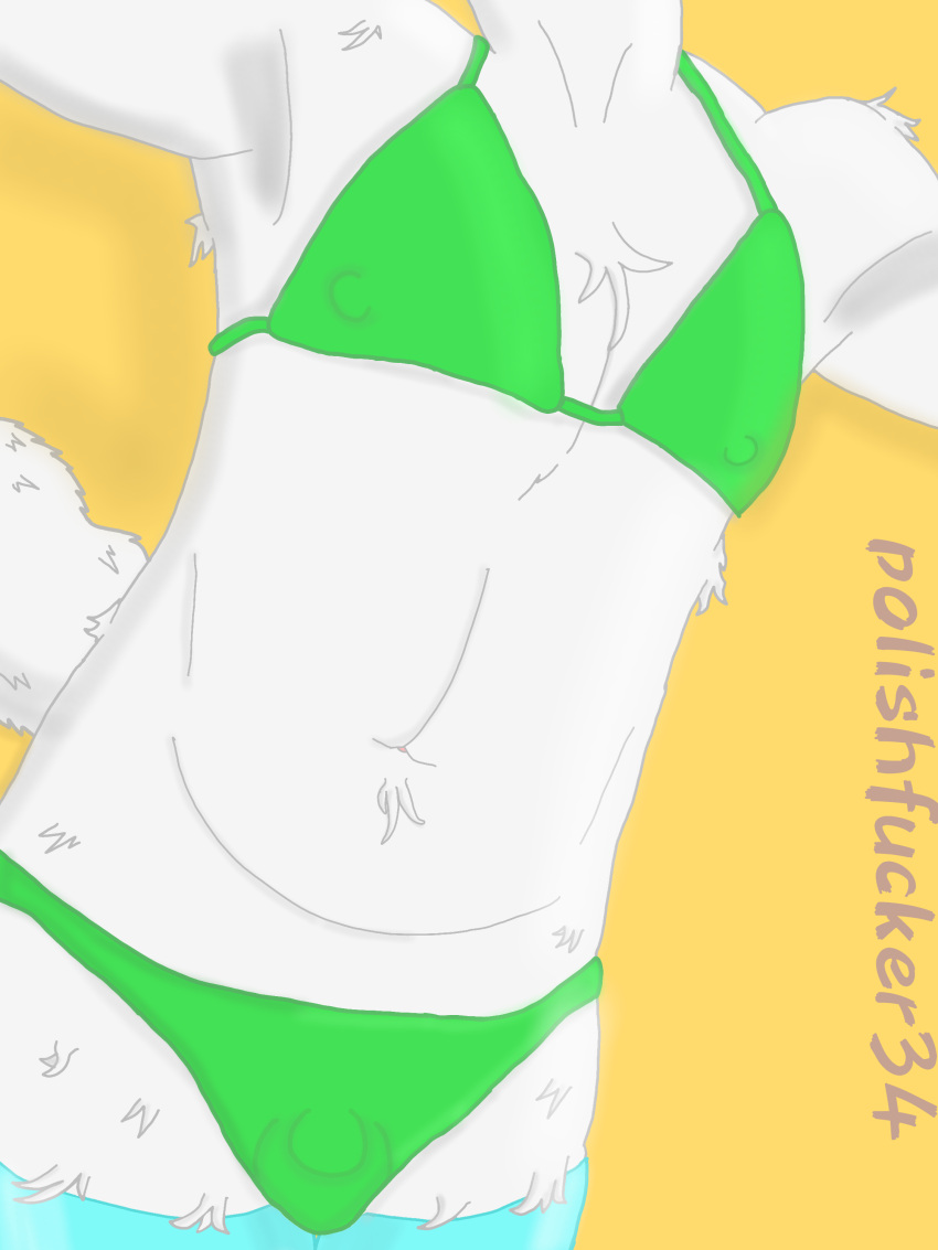 absurd_res anthro arctic_fox bikini bulge canid canine clothed clothing crossdressing erect_nipples femboy fox fur hi_res hidden_face humanoid male mammal nipples polishfucker34 solo swimwear thick_thighs true_fox white_body white_fur