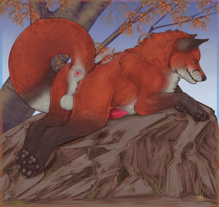 2024 anatomically_correct anatomically_correct_genitalia anatomically_correct_penis animal_genitalia animal_penis anus artist_logo ass backsack balls black_ears black_pawpads black_paws canid canine canine_genitalia canine_penis claws countershade_butt countershade_face countershade_fur countershade_torso countershading dated digital_media_(artwork) erection feet feral firefangdragon fluffy fluffy_tail forest forest_background fox fur genitals grass green_eyes hi_res leaf logo lying male male_feral mammal nature nature_background on_front on_rock outside pawpads paws penis plant presenting presenting_anus presenting_hindquarters quadruped raised_tail red_body red_fox red_fur red_penis rock sky solo tail toe_claws toes tree true_fox whiskers white_balls white_body white_countershading white_fur white_whiskers