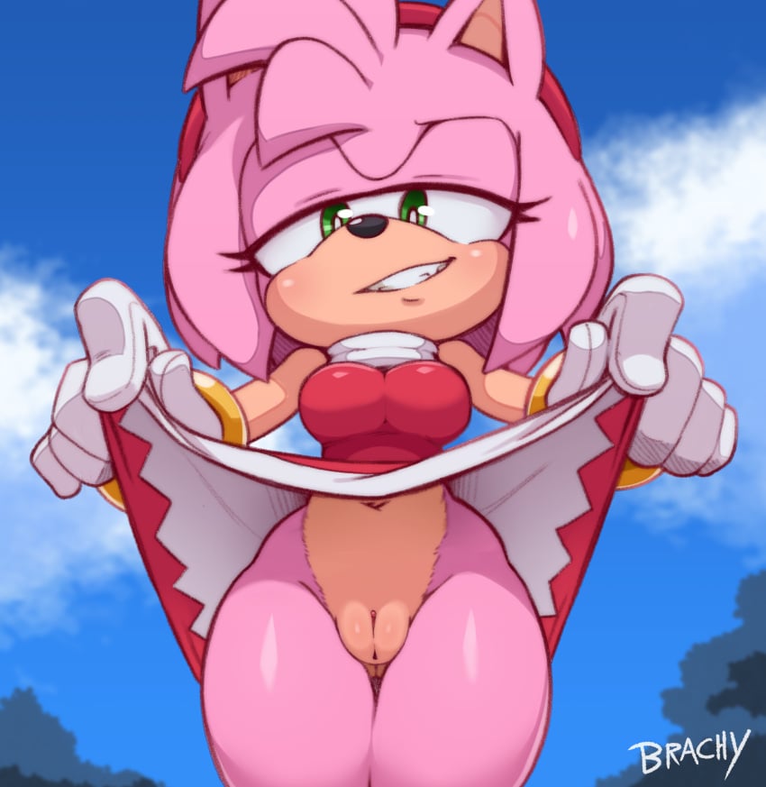 amy_rose bottomless brachyzoid breasts furry green_eyes hedgehog pervert_female pussy sega skirt skirt_lift smile sonic_(series) sonic_the_hedgehog_(series)