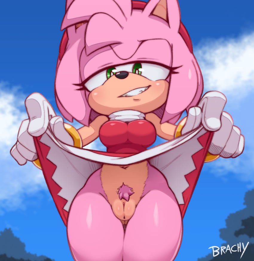 amy_rose bottomless brachyzoid breasts furry green_eyes hedgehog pervert_female pubic_hair pussy sega skirt skirt_lift smile sonic_(series) sonic_the_hedgehog_(series)