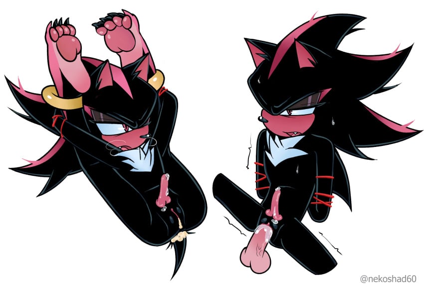 artist_upload big_penis black_fur bondage furry furry_hentai furry_intersex furry_legs furry_male furry_penetrated furry_penis furry_pussy hentai intersex nekoshad penis pornography pussy red_eyes restricted restricted_movement self_upload shadow shadow_the_hedgehog sonic_(series) sonic_the_hedgehog_(series) sperm