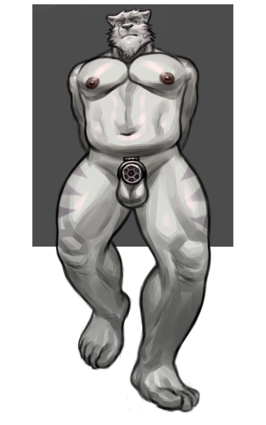 2025 5:8 anthro balls biceps blue_eyes bodily_fluids calf_muscles chastity_cage chastity_cage_only chastity_device chastity_device_only deltoids djtaka facial_tuft feet felid flat_chastity_cage front_view genitals grey_background hands_behind_back hi_res looking_at_viewer low-angle_view male mammal metal_chastity_cage muscular muscular_legs muscular_thighs navel nervous nervous_sweat nipples nude pantherine pecs simple_background slightly_chubby solo submissive sweat tiger triceps tuft wearing_chastity_cage wearing_chastity_device