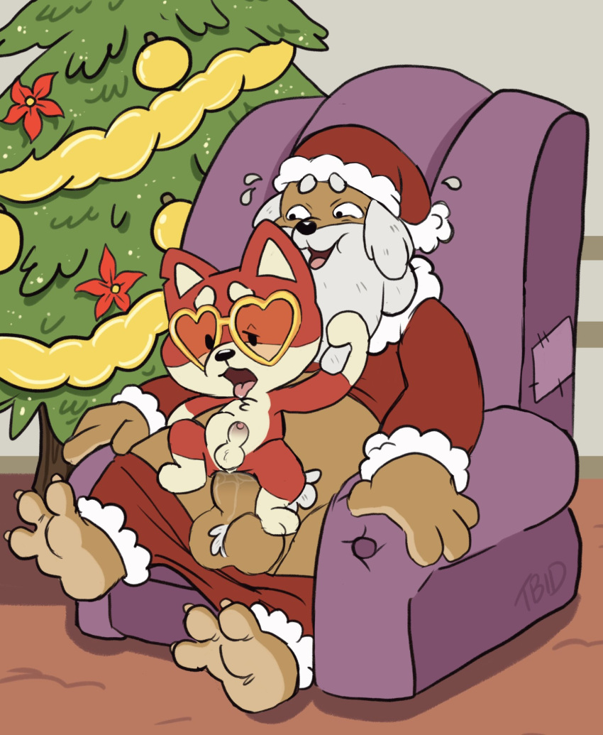 anal anal_sex anthro beard bodily_fluids brown_body canid canine canis chair christmas christmas_clothing christmas_headwear christmas_tree clothing costume crappy_(shappysway) domestic_dog duo facial_hair fur furniture glasses happy hat headgear headwear hi_res holidays looking_pleasured male male/male mammal on_chair open_mouth penetration plant red_body santa_costume santa_hat shiba_inu size_difference spitz stomach_bulge sweat sweatdrop tan_body tan_fur tbid tree