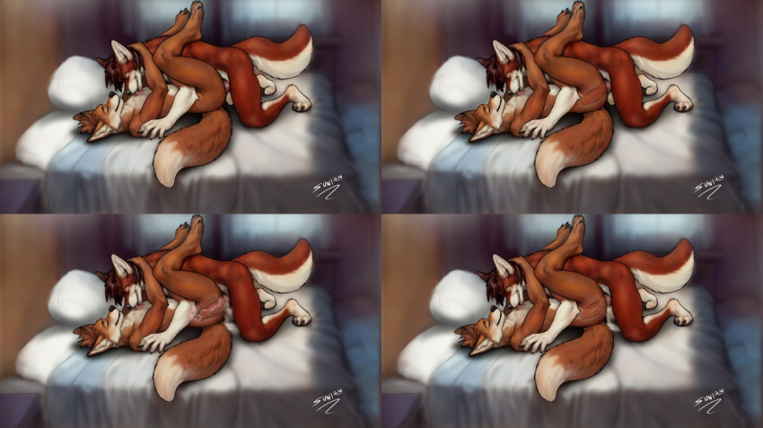 anal anal_sex animal_genitalia balls bed bodily_fluids canid canine cum cum_in_ass cum_inside cum_on_bed fox furniture genital_fluids genitals internal male male/male male_penetrated male_penetrating male_penetrating_male mammal penetration penis red_fox sex sheath sunitai true_fox