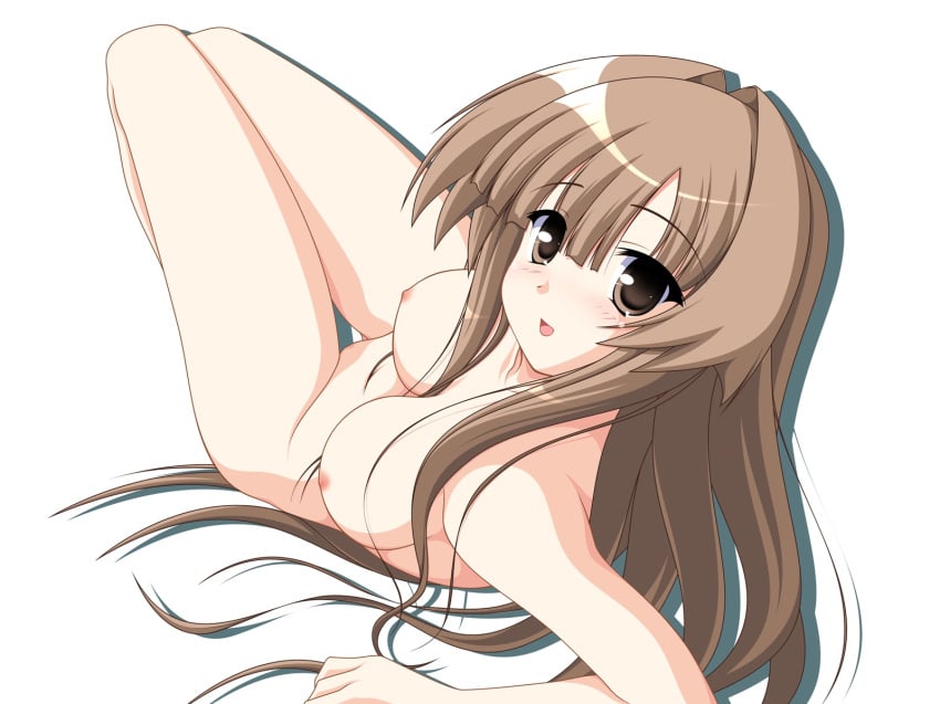 breasts brown_eyes female long_hair my_bride_is_a_mermaid nipples nude san_seto seto_no_hanayome seto_sun solo tagme