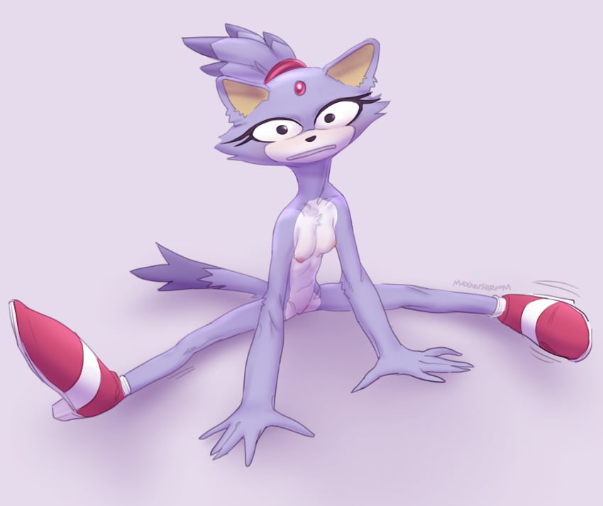 2022 absurd_res anthro blaze_the_cat breasts clothing domestic_cat felid feline felis female flexible footwear footwear_only full-length_portrait fur hi_res looking_at_viewer mammal maxmushroom mostly_nude nipples portrait purple_body purple_fur sega shoes shoes_only solo sonic_(series) sonic_the_hedgehog_(series) splits spread_legs spreading wide_eyed