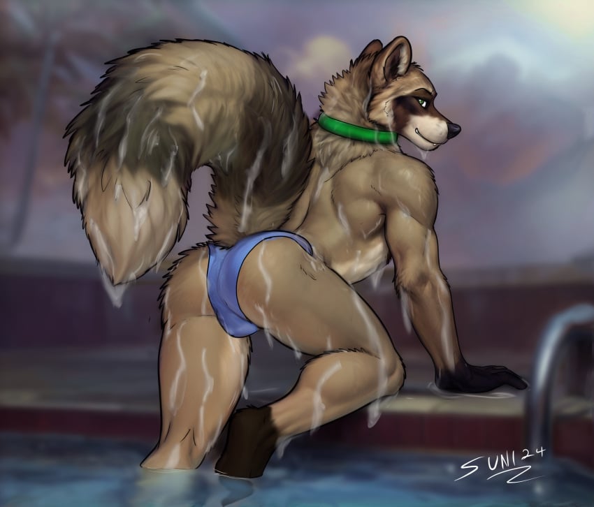 ass_focus clothing hi_res male mammal non-human non-human_only pool procyonid raccoon speedo sunitai swimwear water wet