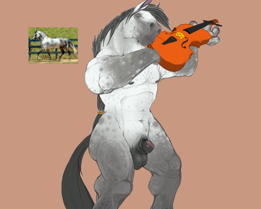 1boy anthro balls equine flaccid horse male male_only musical_instrument narse penis photo reference_image solo violin