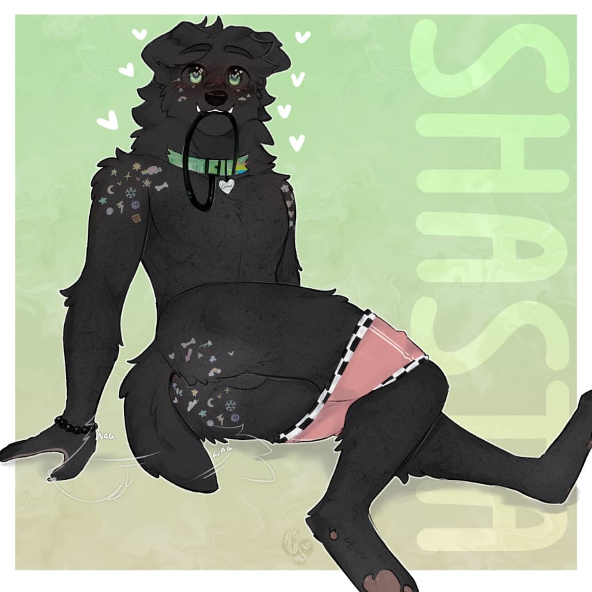 1:1 absurd_res anthro anus ass backsack balls bird_dog black_body black_fur blush bracelet canid canine canis cerberussenn clothing clothing_around_legs collar collar_tag cute_fangs domestic_dog domo-kun fangs floppy_ears freckles fur genitals green_eyes heart_collar_tag heart_pupils heart_symbol hi_res hunting_dog jewelry labrador leash leash_in_mouth male mammal meme nyan_cat nyan_cat_(copyright) object_in_mouth pawpads retriever shasta_chirmann_(cerberussenn) slim_male smile solo sticker stickers_on_body tail tail_anus tail_motion tailwag teeth underwear underwear_around_legs