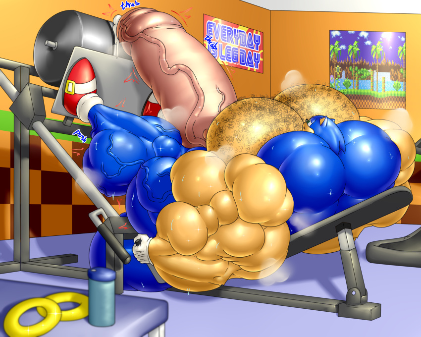 bodybuilder chest_hair furry hairy_chest hairy_male hyper hyper_balls hyper_cock hyper_genitalia hyper_muscles hyper_penis hyper_testicles joshthetiger leg_press male male_only muscles muscular muscular_arms muscular_male panting pecs sonic_(series) sonic_the_hedgehog sonic_the_hedgehog_(series) workout zerozero