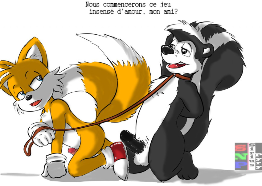 anthro balls canine english_translation erection fox french_text fur furry furry_tail leash looney_tunes male male_only multiple_males multiple_tails no_humans notes_translation penis pepe_le_pew plain_background sega siriusandpyri skunk smooth_fur sonic_(series) tail tails text warner_brothers yaoi