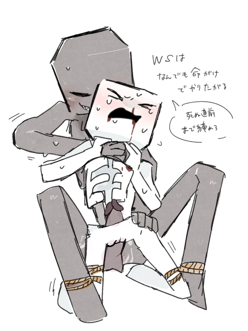 Skeleton (Minecraft) Rule 34 Image