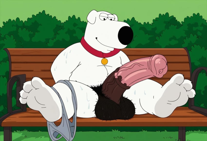 1animal 1boy 20th_century_fox 20th_century_studios ai_generated balls bench brian_griffin bush canid canine day domestic_dog family_guy grass hairy_balls horsecock hyper_penis male male_only on_bench outdoors park_bench plant sitting sitting_on_bench underwear underwear_around_one_leg white_body white_fur wooden_bench