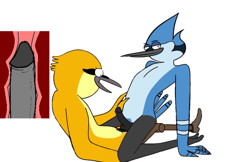 anal anal_sex anthro anthro_on_anthro avian balls beak bird black_penis blue_jay cowgirl_position erection feathers furry gay hair internal interspecies john_(regular_show) lifeseeker looking_at_viewer male mordecai no_humans open_mouth penetration penis plain_background prosthetic_leg regular_show sex toony wooden_leg yaoi