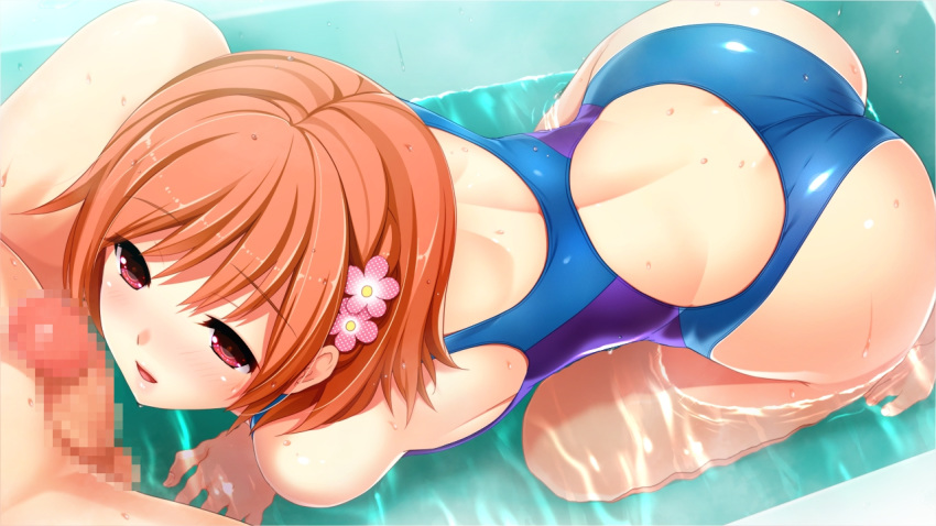 all_fours ass back bathtub blush censored competition_swimsuit female flower game_cg hair_flower hair_ornament hoshi_ori_yume_mirai koizumi_amane one-piece_swimsuit orange_hair parted_lips partially_submerged penis red_eyes shinozaki_marika short_hair solo_focus staring swimsuit water wet