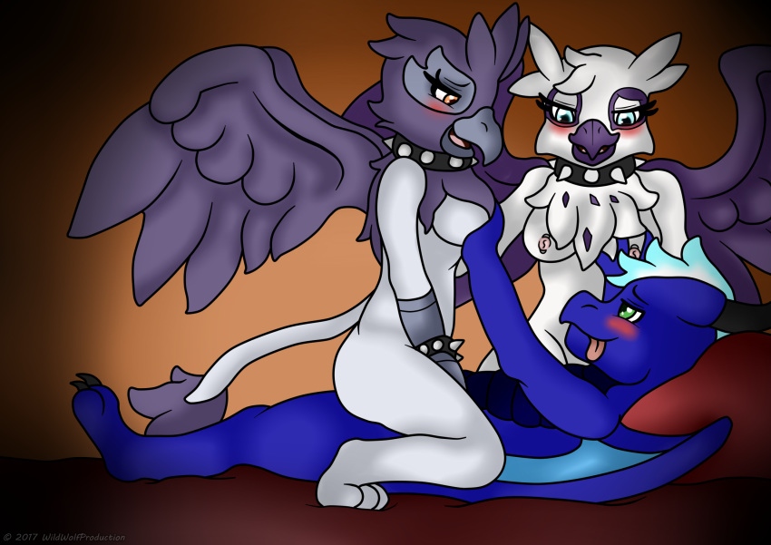 avian bedroom bird blush breasts collar cowgirl_position digital_media_(artwork) dragon feathers female giselle_(mlp) invalid_tag male my_little_pony nabu_innemesis natalya_(mlp) nipples on_top penetration piercing pillow sex vaginal_penetration wildwolfproduction wings