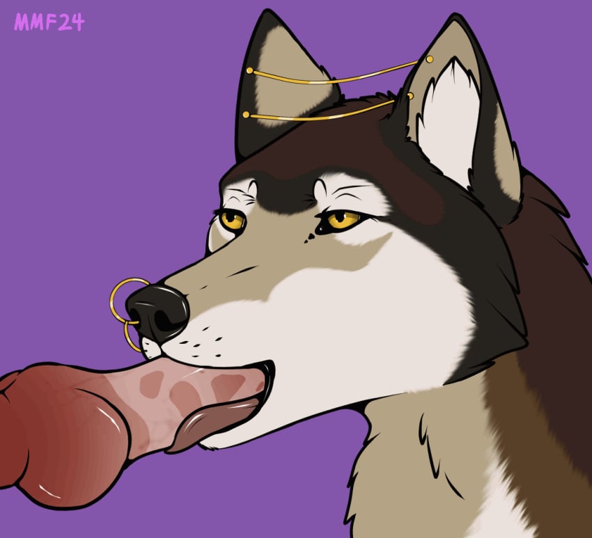 animated bodily_fluids canid canine canis cum cum_in_mouth cum_inside female feral galleta_(dirtycookie) genital_fluids jewelry knot male male/female mammal mechanical_monster_factory oral penis_on_tongue throbbing tongue tongue_out tongue_out_blowjob wolf