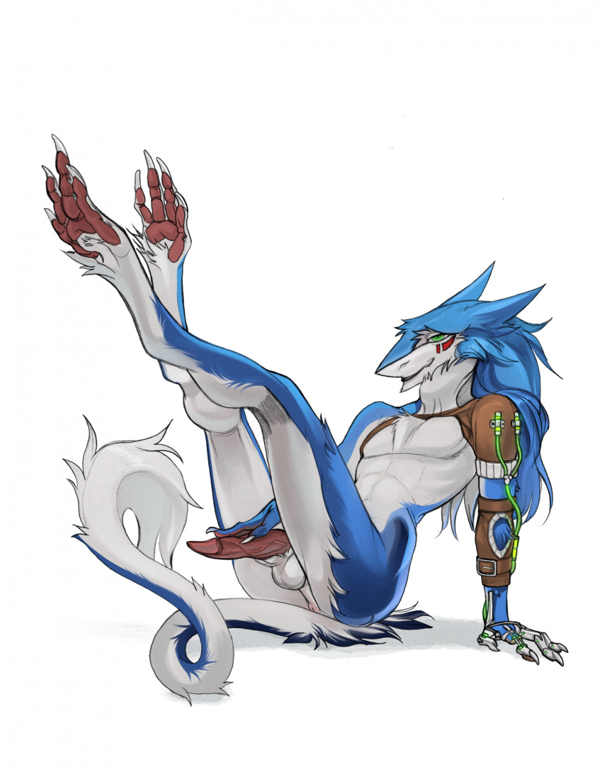 anthro anus ass balls blue_body blue_fur digital_media_(artwork) erection feet feet_up fur genitals green_eyes hi_res looking_at_viewer male markings multicolored_body multicolored_fur nude penis raesheris red_markings sergal simple_background solo tail two_tone_body two_tone_fur white_body white_fur