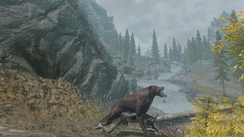 argonian bestiality canine discombobulation feral forced furry furry_only gay interspecies male_only no_humans rape scalie skyrim the_elder_scrolls video_games wolf