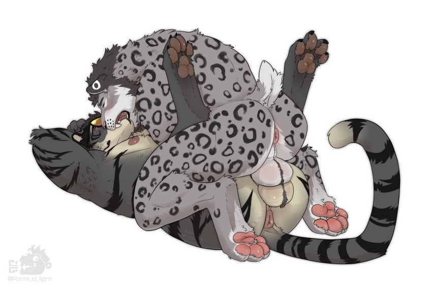 anthro anus balls balls_touching blush closed_eyes duo felid from_front_position genitals hi_res kissing male male/male mammal mating_press nipples nude pantherine paws ramaelligre sabertooth_feline sex simple_background snow_leopard tail tiger white_background