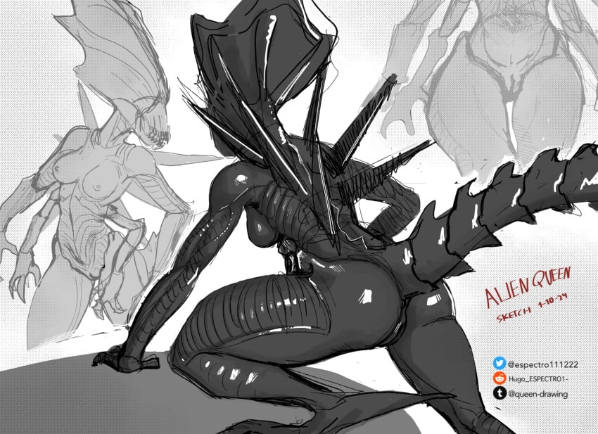 4_arms alien alien_(franchise) alien_girl ass_focus big_ass dbd dead_by_daylight espectro111222 female_xenomorph huge_ass multi_arm multi_limb pussy pussy_focus sketch sketchy u/hugo_espectro1- xenomorph xenomorph_queen