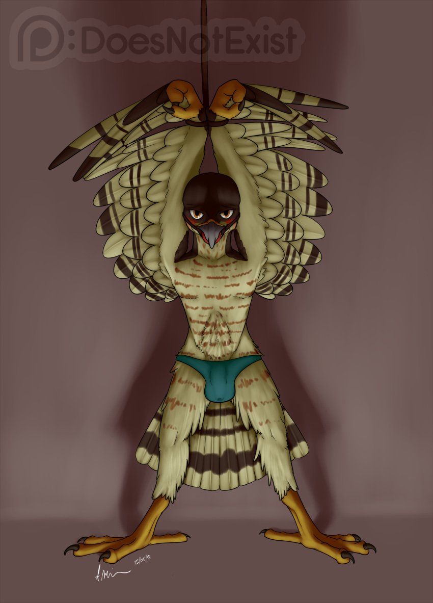 2018 2_fingers 4_toes anisodactyl anthro arms_above_head avian ball_gag bird blush bondage bound brown_feathers clothing digital_media_(artwork) drooling feathered_wings feathers gag hawk hi_res lief_woodcock looking_at_viewer male malesub orange_eyes panties precum saliva signature solo sparrowhawk standing tan_feathers theandymac toes underwear wings