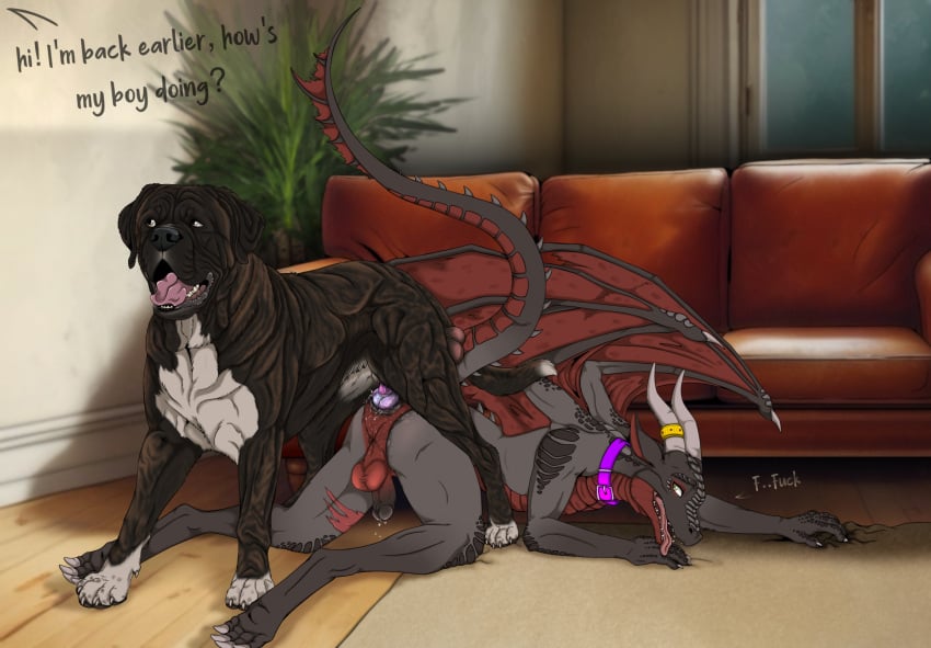 after_sex all_fours anatomically_correct anthro anthro_on_feral balls bodily_fluids breath brown_body brown_fur cane_corso canid canine canis caught collar cum cum_inside dewlap_(anatomy) dialogue digital_drawing_(artwork) digital_media_(artwork) domestic_dog dragon duo ejaculation english_text feral floppy_ears fur furniture genital_fluids genitals green_eyes grey_body grey_eyes grey_scales hi_res humanoid_genitalia humanoid_penis inside knot knotting kodaac leaking_precum living_room looking_offscreen male male/male mammal mastiff molosser multicolored_body multicolored_fur mythological_creature mythological_scalie mythology offscreen_character on_ground panting penis plant precum purple_collar red_body red_scales red_wings ring_on_horn scales scalie sex sofa spiked_tail spikes spikes_(anatomy) tail text tongue tongue_out white_body white_fur wings wrinkles zoophilia