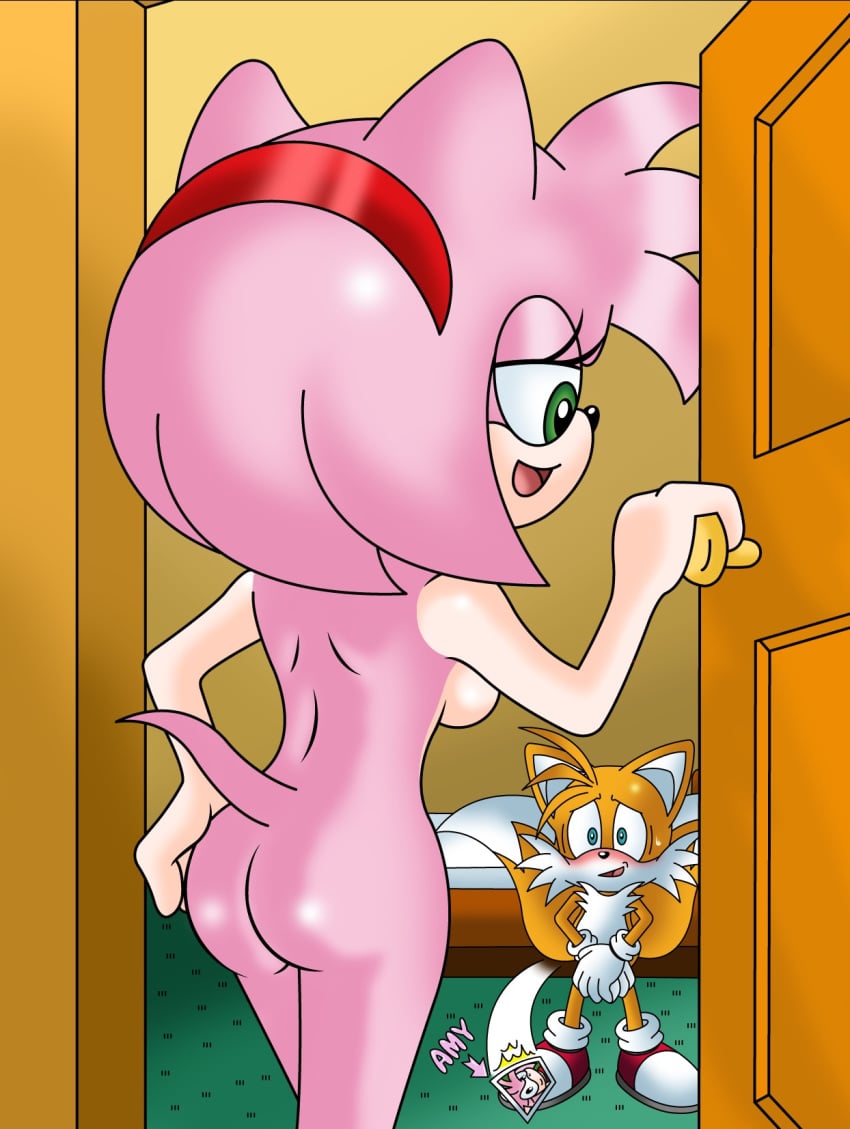 amy_rose anthro ass blush color female fur furry furry_only furry_tail green_eyes headband male multiple_tails nude photo sonic_(series) sonictopfan standing tail tails uncensored walk-in