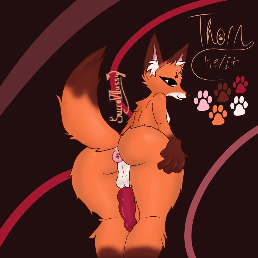 anthro canid canine femboy fox fur genitals hi_res knot knotted_penis male mammal orange_body orange_fur penis solo succu7ussy