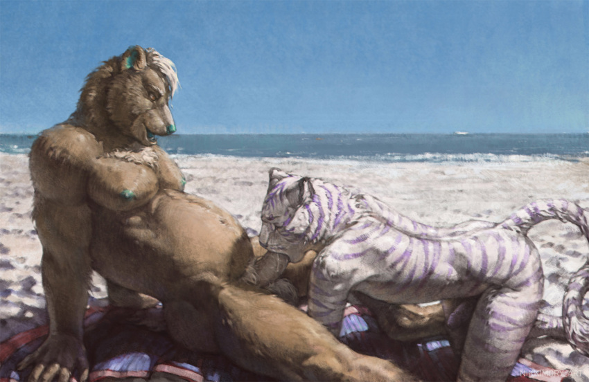 anthro balls beach bear duo erection felid fellatio genitals hi_res male male/male mammal nikkimory oral outside pantherine penile penis sex side_view tiger