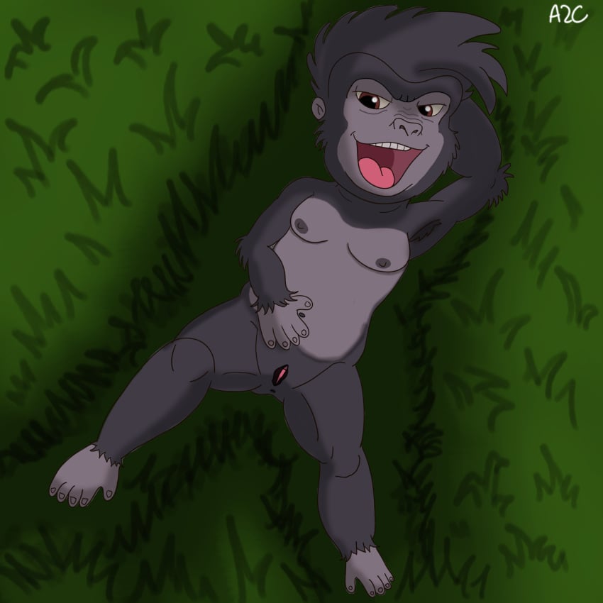 1:1 animal_humanoid anthro ape bedroom_eyes breasts colored disney female genitals gorilla grass haplorhine hi_res humanoid lying mammal mammal_humanoid narrowed_eyes on_back plant primate pussy seductive small_breasts solo spread_legs spreading tarzan_(disney) terk tibertonea2c