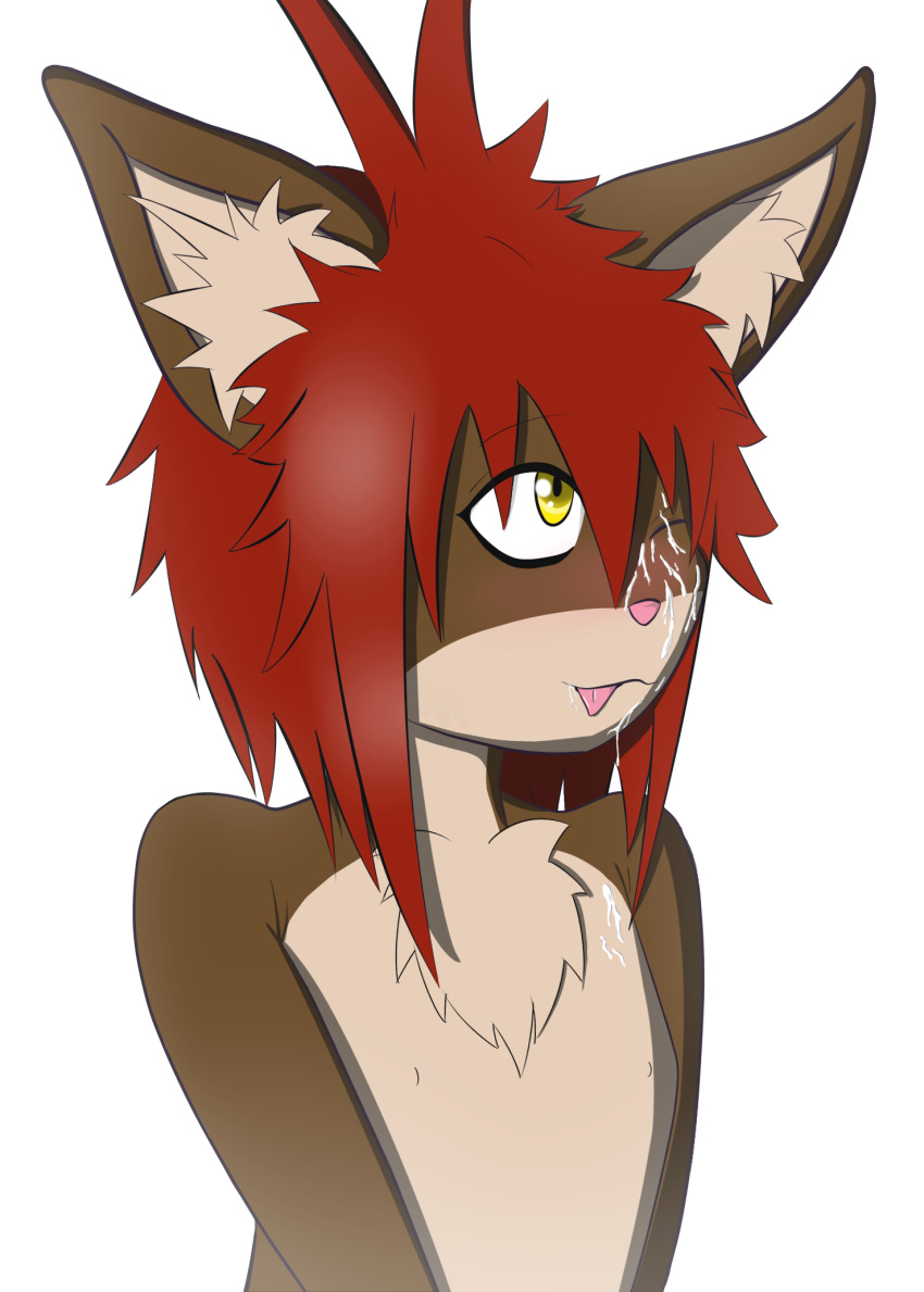 anthro blush brown_fur cum cum_on_face cute eyeliner feline fur furry gay girly hair male mordecai_(petkitten) no_humans petkitten red_hair tongue yellow_eyes