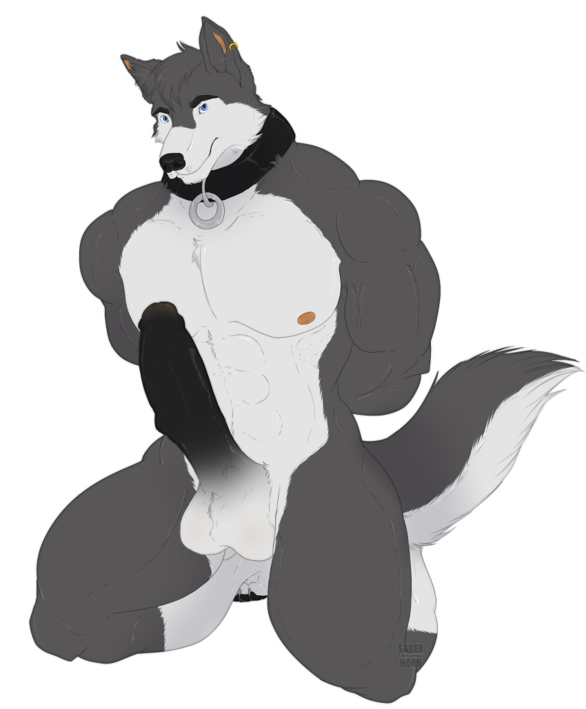 anthro balls biceps canine erection fur humanoid_penis male male_only mammal muscular muscular_male nipples nude pecs penis saberhorn_(artist) simple_background smile solo