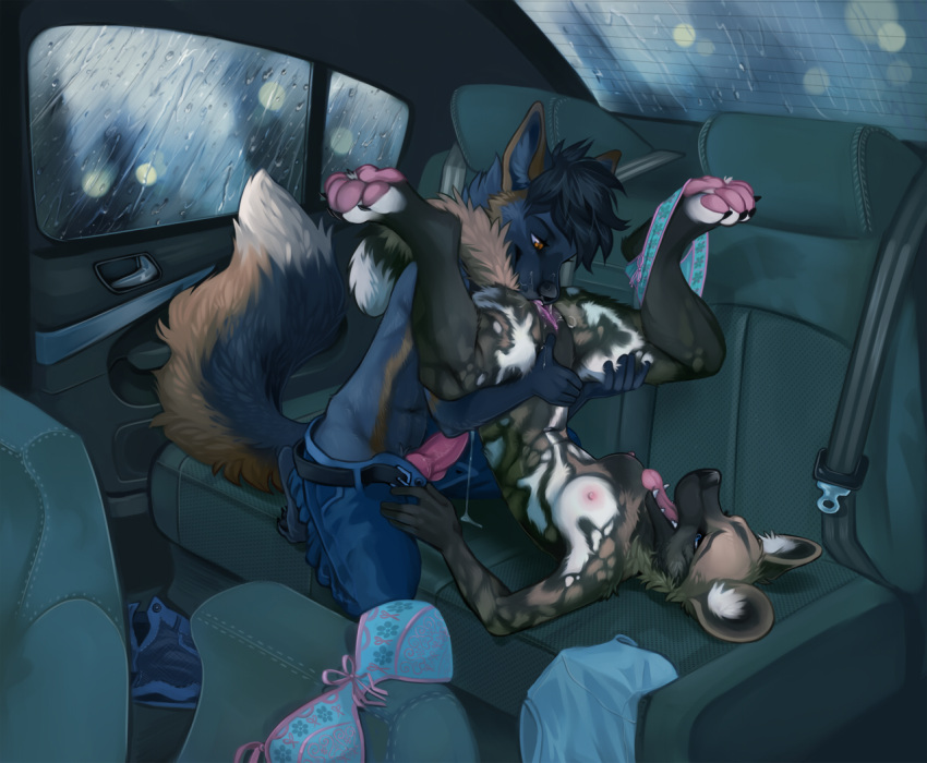 african_wild_dog anthro canine car car_interior cunnilingus demicoeur erection female fox furry male oral oral_sex penis precum pussy sex straight vaginal_penetration