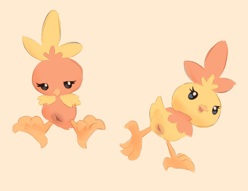 animal_genitalia avian beak cloaca duo eyelashes female feral generation_3_pokemon genitals hi_res labbit1337 nintendo pokemon pokemon_(species) presenting presenting_pussy pussy shiny_pokemon simple_background tan_background torchic