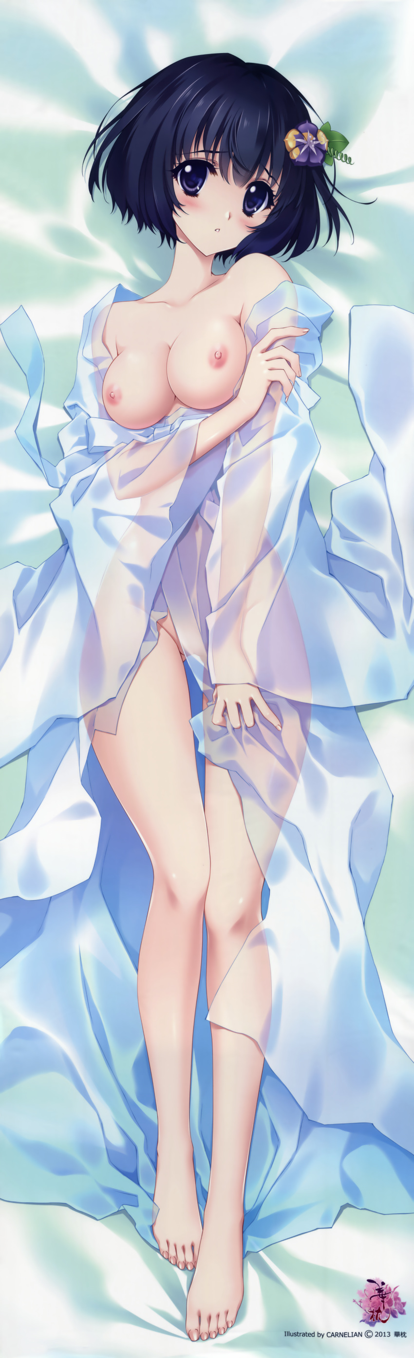 carnelian dakimakura fixed tagme