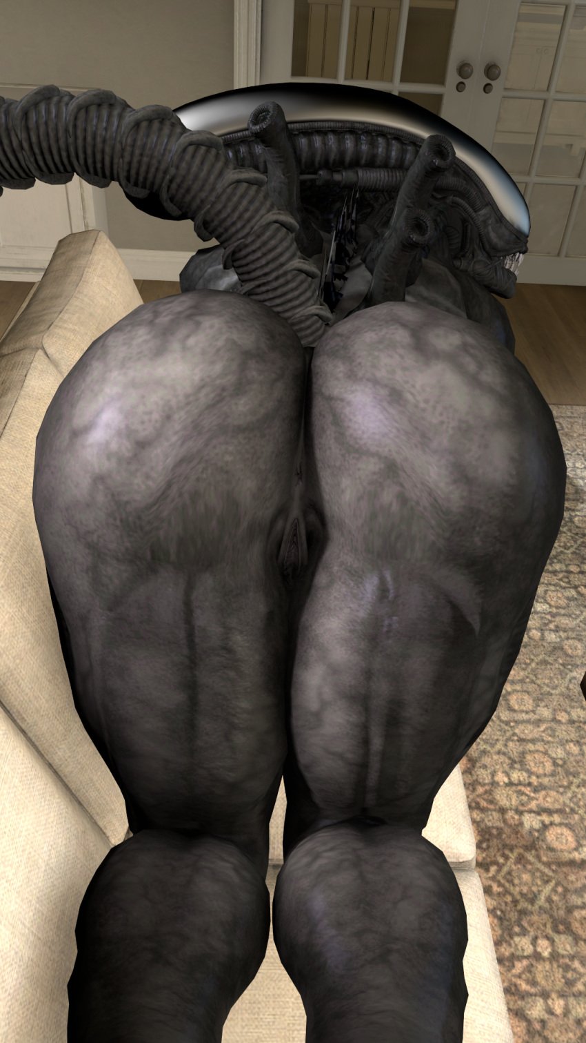 9:16 alien alien_(franchise) anus ass big_butt black_body bubble_butt dark-skinned_female eyeless female female_xenomorph furniture genitals hi_res huge_butt humanoid inside kyleroo nude presenting presenting_hindquarters pussy sofa solo tail teeth xenomorph