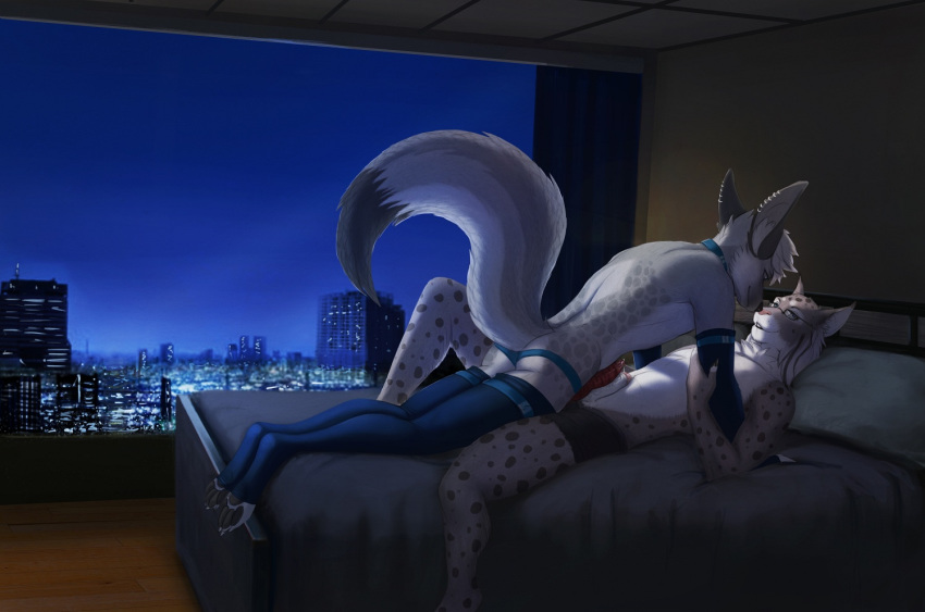 2013 akkla anthro bed blue_eyes canine canine_penis clothing erection eye_contact eyewear feline foreskin fox frottage fur furry gay glasses gloves grey_fur humanoid_penis knot lunalei lying lynx male no_humans on_back pawpads paws penis piercing pillow precum smile spots stockings synx_the_lynx thigh_highs uncircumcised uncut underwear