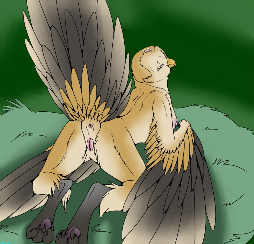 Anthro Rule 34 Image
