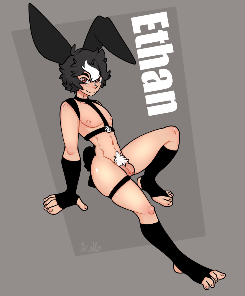 absurd_res animal_humanoid anthro arm_warmers armwear balls black_body black_fur black_hair clothing english_text femboy flaccid footwear foreskin fur genitals grey_background hair harness hi_res highlights_(coloring) humanoid humanoid_genitalia humanoid_penis lagomorph lagomorph_humanoid leporid_humanoid male mammal mammal_humanoid penis pubes rabbit_humanoid simple_background socks solo text toeless_footwear toeless_legwear toeless_socks toeless_stockings white_highlights xing1