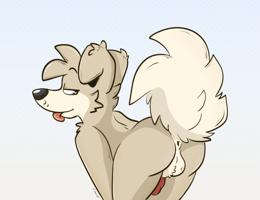 anthro anus ass balls blue_eyes brown_body brown_fur canid canine canis domestic_dog fluffy fluffy_tail fur genitals hi_res male mammal naughty_face nude penis pose simple_background solo tail tinnier tongue tongue_out