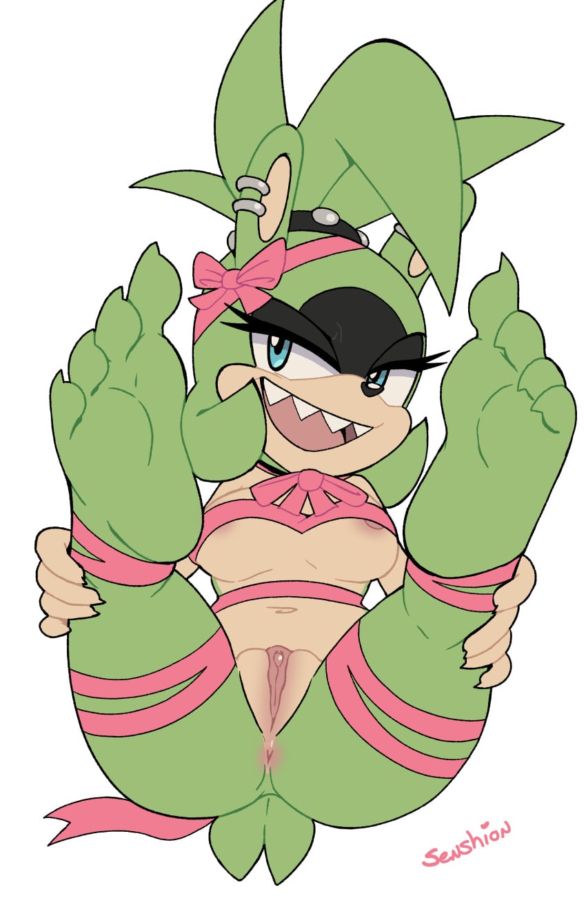 Sonic (Series) Rule 34 Image